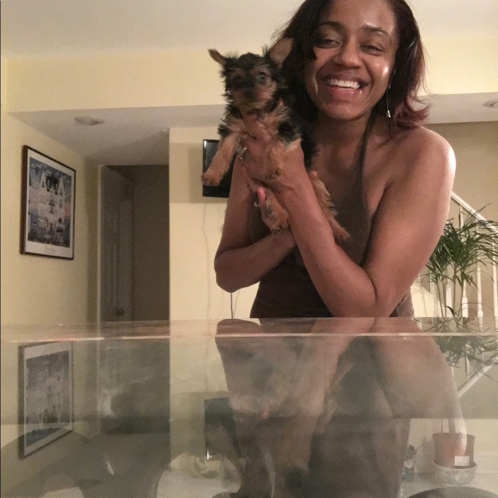 Meet your Posher, Dorothy